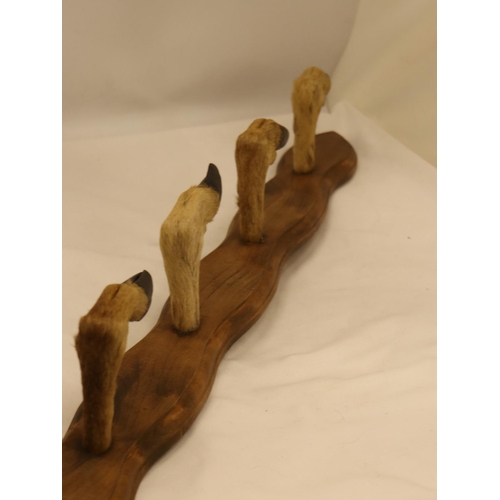 141 - A WALL MOUNTED FOUR 'HOOFED' COAT RACK