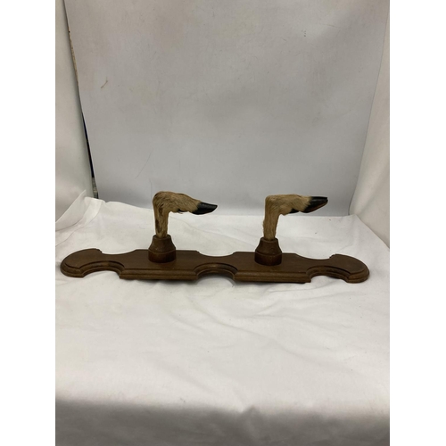 206 - A WALL MOUNTED TWO HOOVED COAT RACK