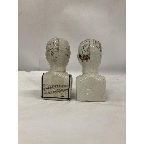 221 - TWO PHRENOLOGY HEADS, HEIGHT 16CM