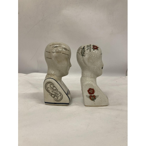 221 - TWO PHRENOLOGY HEADS, HEIGHT 16CM