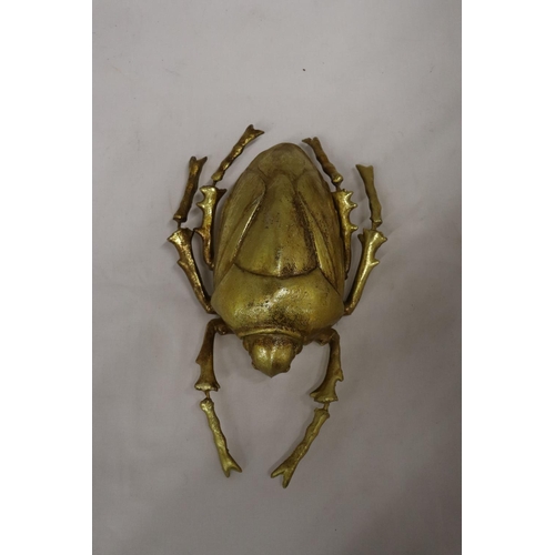 239 - A GOLD COLOURED WALL HANGING BEETLE, LENGTH 27CM