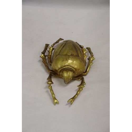 239 - A GOLD COLOURED WALL HANGING BEETLE, LENGTH 27CM