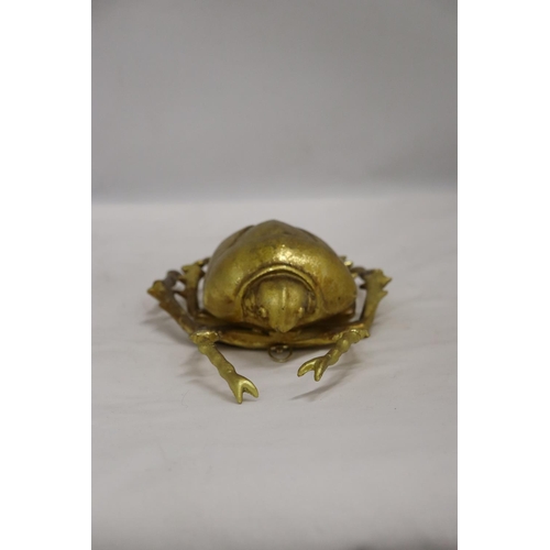 239 - A GOLD COLOURED WALL HANGING BEETLE, LENGTH 27CM