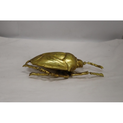 239 - A GOLD COLOURED WALL HANGING BEETLE, LENGTH 27CM