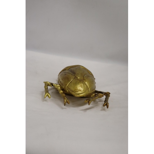 239 - A GOLD COLOURED WALL HANGING BEETLE, LENGTH 27CM