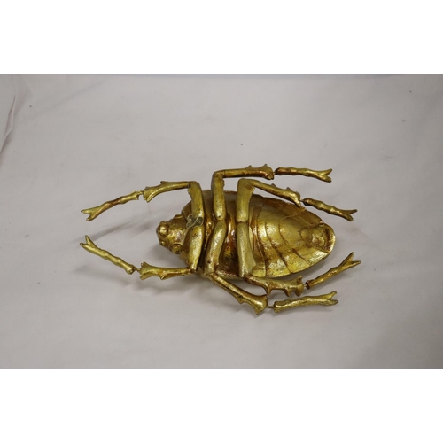 239 - A GOLD COLOURED WALL HANGING BEETLE, LENGTH 27CM