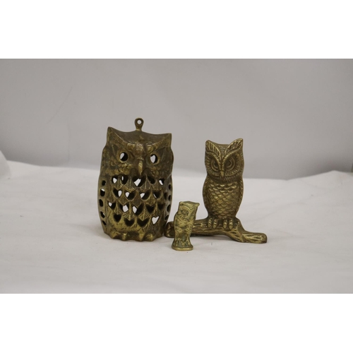 251 - THREE BRASS OWLS, LARGEST 13CM