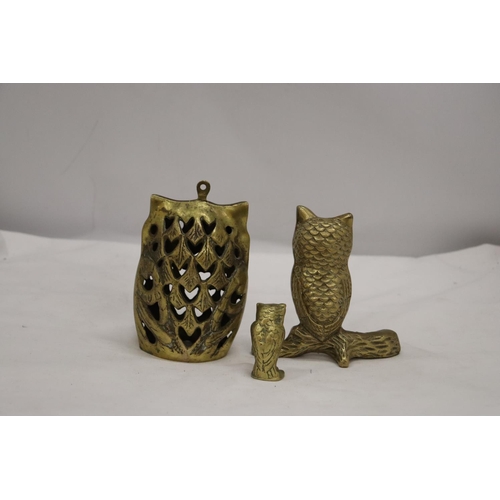 251 - THREE BRASS OWLS, LARGEST 13CM