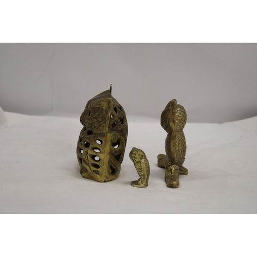 251 - THREE BRASS OWLS, LARGEST 13CM