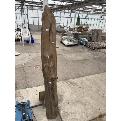 1811 - A TALL PIECE OF OAK, HEIGHT 200CM