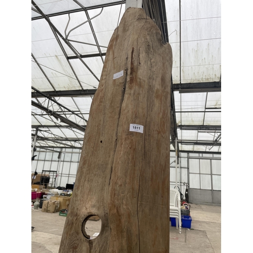 1811 - A TALL PIECE OF OAK, HEIGHT 200CM