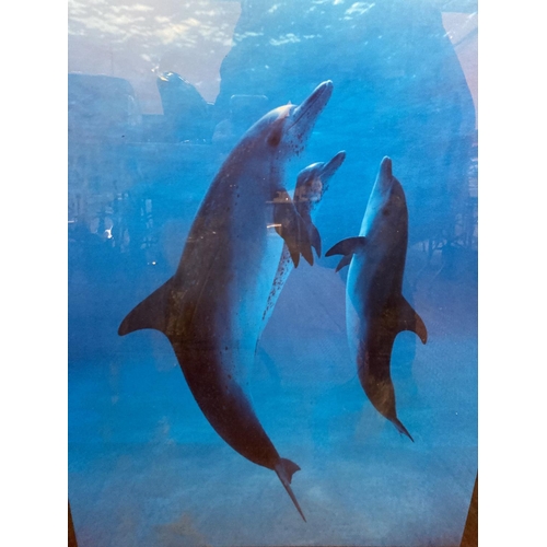 868 - A PRINT OF DOLPHINS 'DANSE DES DAUPHINS, 63CM X 88CM