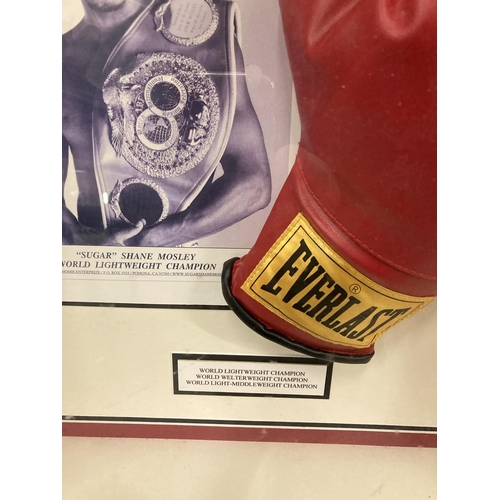 94 - A FRAMED & SIGNED SUGAR SHANE MOSLEY BOXING GLOVE & PHOTOGRAPH