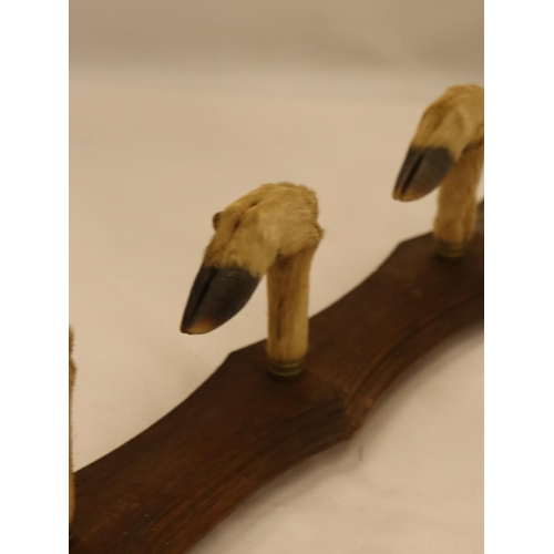 114 - A WALL MOUNTED 'HOOF' COAT RACK