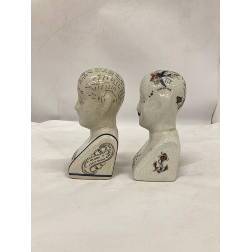 221 - TWO PHRENOLOGY HEADS, HEIGHT 16CM