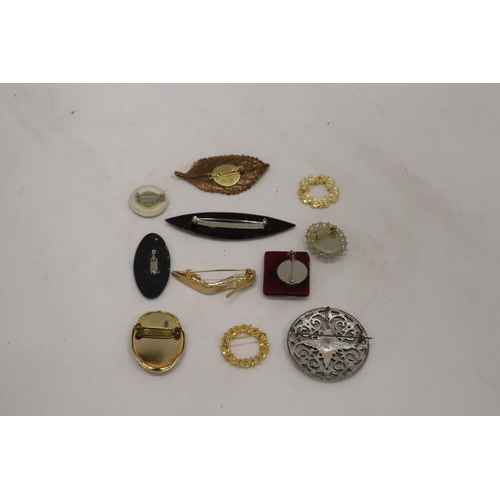 277 - A QUANTITY OF COSTUME JEWELLERY BROOCHES