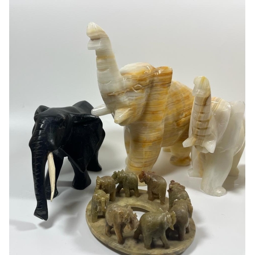 304 - A COLLECTION OF HARDSTONE ELEPHANT FIGURES TO INCLUDE GROUP, SET OF FOUR, EBONY STYE AND LIDDED EXAM... 