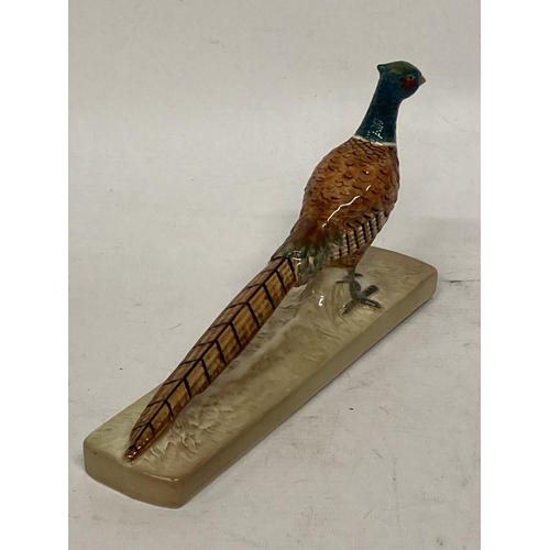 747 - A BESWICK PHEASANT ON CERAMIC BASE NO. 1774