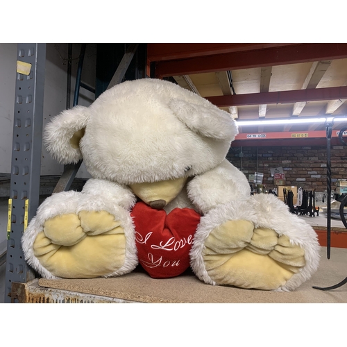 1134 - AN XTRA LARGE TEDDY WITH HEART