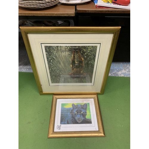 1178 - TWO FRAMED LIMITED EDITION PRINTS SIGNED BY THE ARTIST TO INCLUDE 