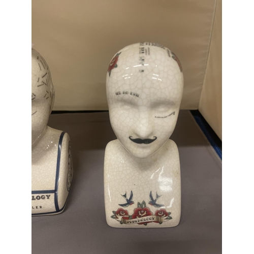 104 - TWO PHRENOLOGY HEADS, HEIGHT 16CM