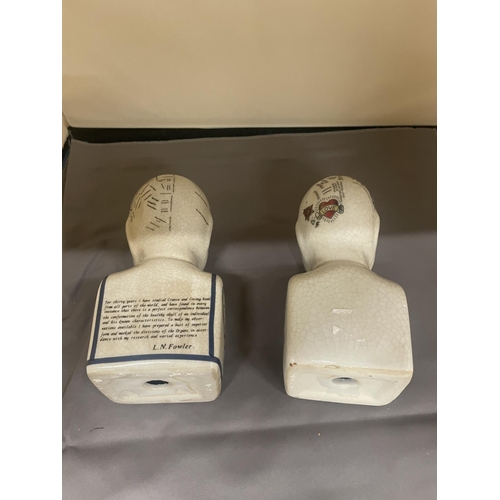 104 - TWO PHRENOLOGY HEADS, HEIGHT 16CM