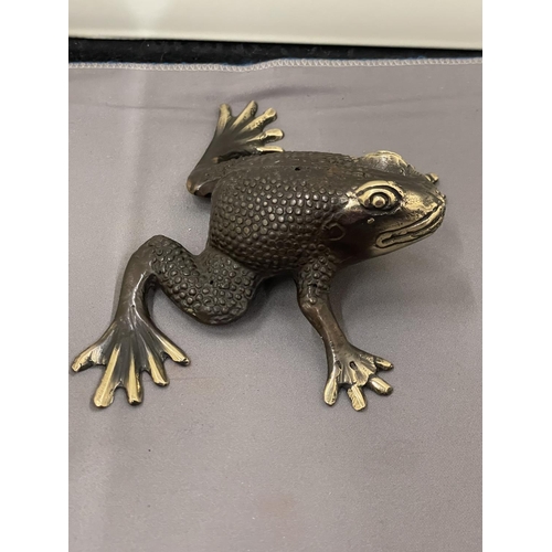 20 - A BRONZE FIGURE OF A FROG