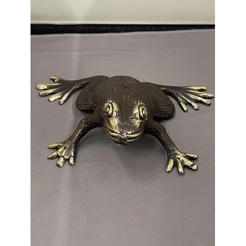 20 - A BRONZE FIGURE OF A FROG