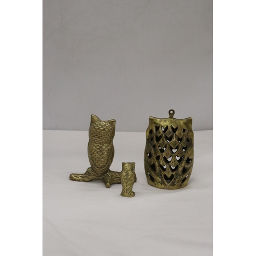 213 - THREE BRASS OWLS, LARGEST 13CM