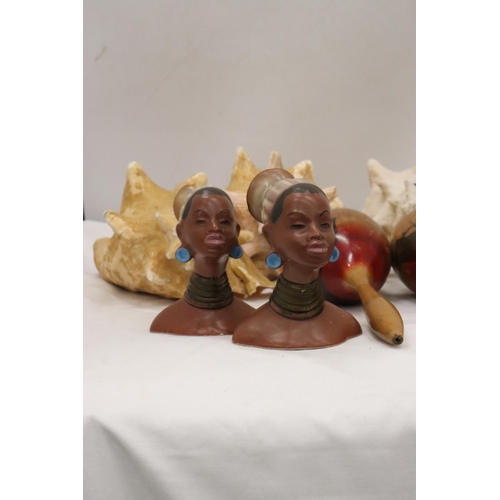 253 - THREE LARGE CONCH SHELLS, A PAIR OF MARACAS AND TWO AFRICAN STYLE BUSTS