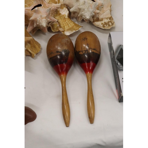 253 - THREE LARGE CONCH SHELLS, A PAIR OF MARACAS AND TWO AFRICAN STYLE BUSTS