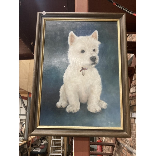 891 - A FRAMED PAINTING OF A WEST HIGHLAND TERRIER BY GILLIAN ASH '85