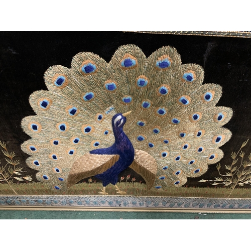 54 - A LARGE GILT FRAMED EMBROIDERED COLLAGE OF A PEACOCK