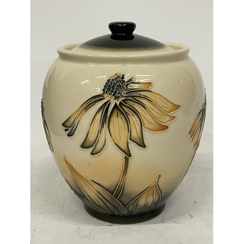 724 - A MOORCROFT GINGER JAR IN THE 