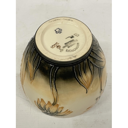 724 - A MOORCROFT GINGER JAR IN THE 