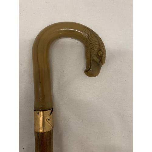 758 - A WALKING STICK WITH AN EAGLE'S HEAD HANDLE