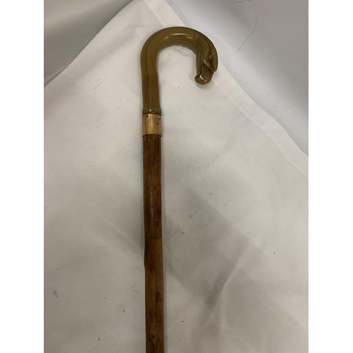 758 - A WALKING STICK WITH AN EAGLE'S HEAD HANDLE