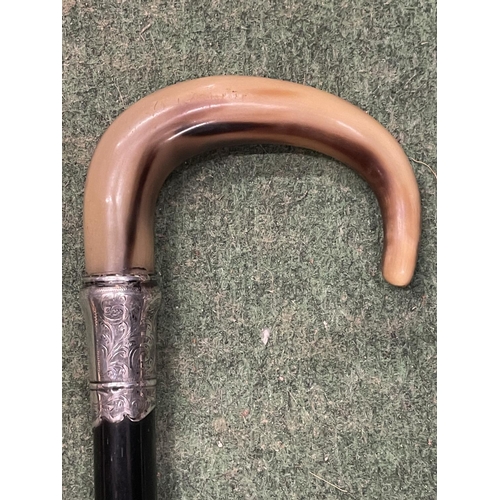 134 - A BONE HANDLED WALKING STICK WITH A CHESTER HALLMARKED SILVER COLLAR