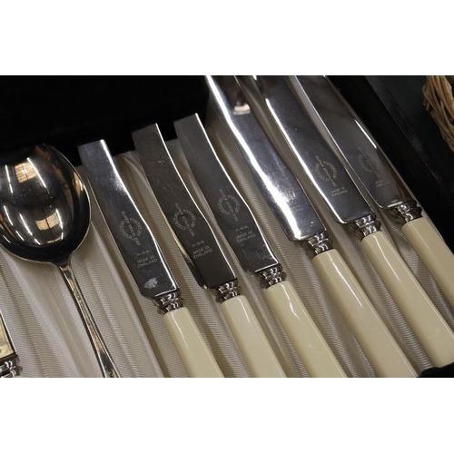 207 - A LARGE QUANTITY OF VINERS LTD SUPER STAINLESS SHEFFIELD CUTLERY IN CASE