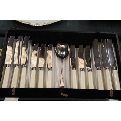 207 - A LARGE QUANTITY OF VINERS LTD SUPER STAINLESS SHEFFIELD CUTLERY IN CASE