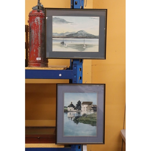 230 - TWO JACKY FREEMAN ARTIST FRAMED WATERCOLOURS