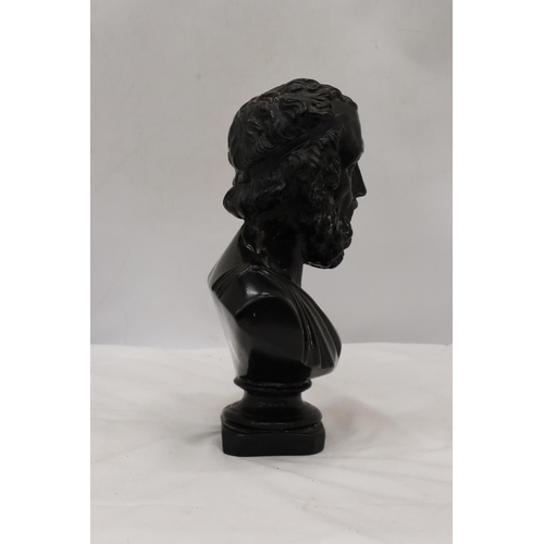 257 - A HEAVY RESIN BUST OF CLASSICAL GREEK POET TITLED - 'HOMERE', HEIGHT 30 CM