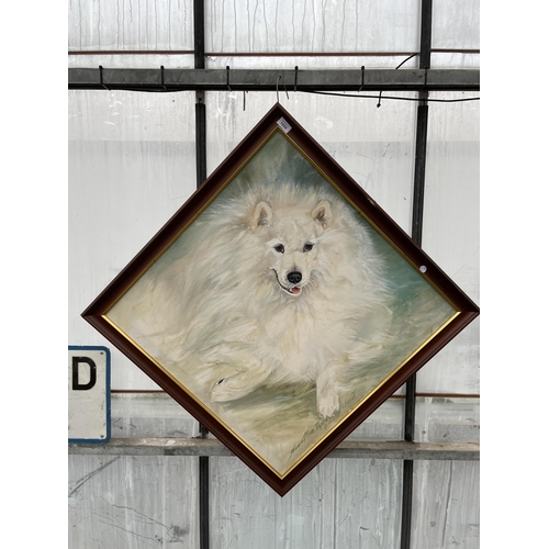 1656 - A FRAMED OIL ON CANVAS OF A LARGE DOG