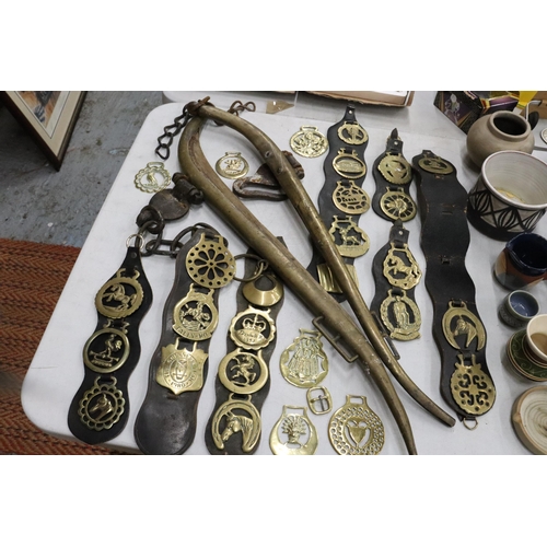 353 - A LARGE COLLECTION OF VINTAGE HORSE BRASSES, ETC TO INCLUDE HORSE HAMES, HORSE BRASSES ON MARTINGALE... 