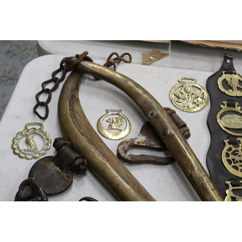 353 - A LARGE COLLECTION OF VINTAGE HORSE BRASSES, ETC TO INCLUDE HORSE HAMES, HORSE BRASSES ON MARTINGALE... 