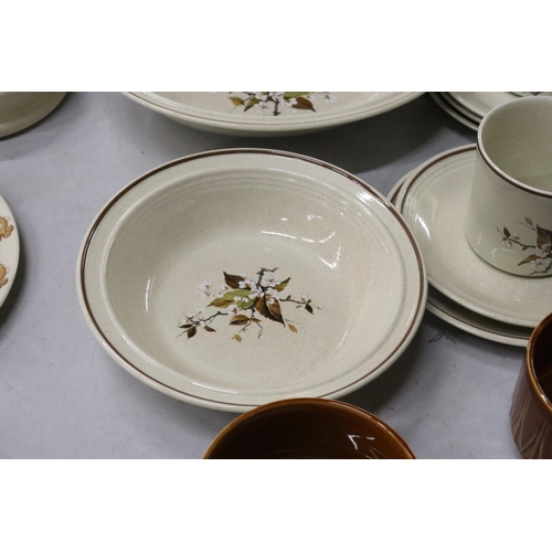 803 - A QUANTITY OF ROYAL DOULTON 'WILD CHERRY' DINNERWARE TO INCLUDE SERVING BOWLS, DESSERT BOWLS, CUPS A... 