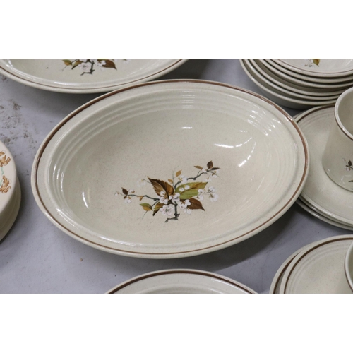 803 - A QUANTITY OF ROYAL DOULTON 'WILD CHERRY' DINNERWARE TO INCLUDE SERVING BOWLS, DESSERT BOWLS, CUPS A... 