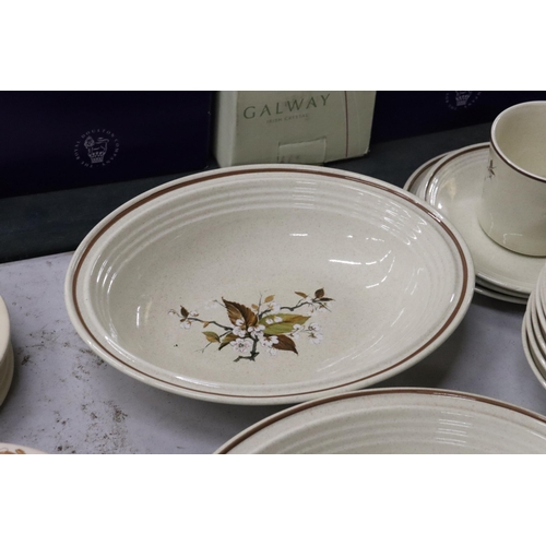 803 - A QUANTITY OF ROYAL DOULTON 'WILD CHERRY' DINNERWARE TO INCLUDE SERVING BOWLS, DESSERT BOWLS, CUPS A... 