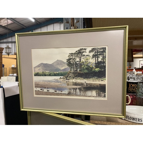 1027 - TWO FRAMED MICHAEL REVERS LANDSCAPE LIMITED EDITION 419/850 AND 463/850 PRINTS