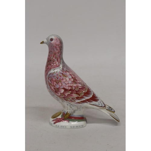 780 - A ROYAL CROWN DERBY WAR PIGEON LIMITED EDITION PAPER WEIGHT WITH COA